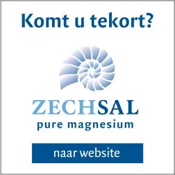 zechsal